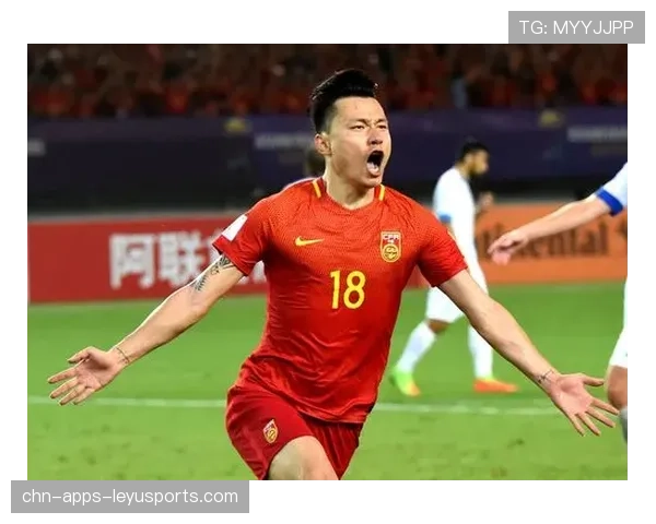 公牛队奋勇追赶，未来可期，公牛队消息